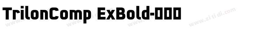 TrilonComp ExBold字体转换